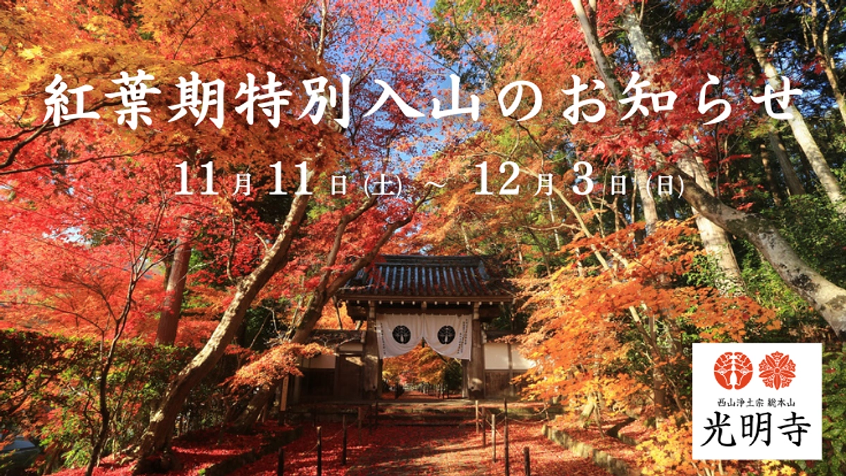光明寺｜令和5年『紅葉期特別入山』のお知らせ