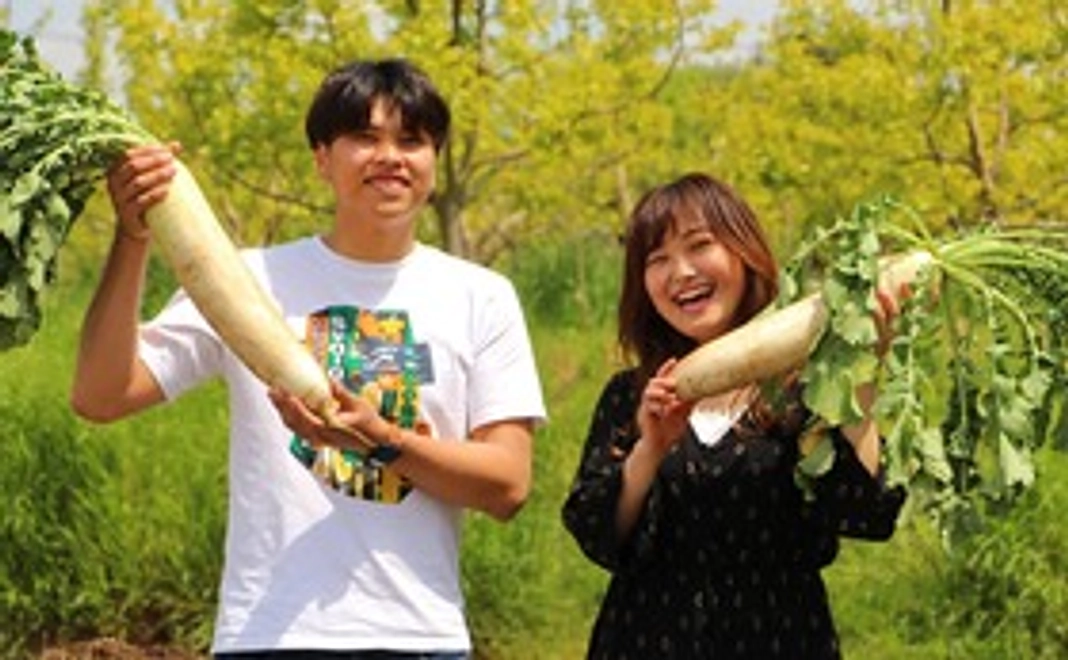 NAMIMATI応援コース