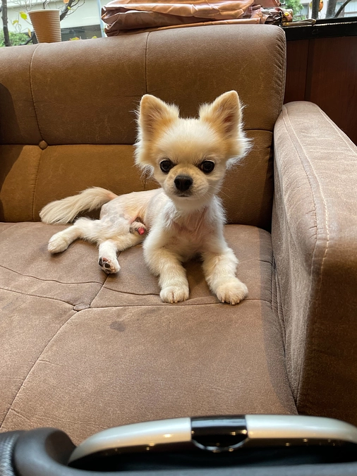 嬉しい結果報告！