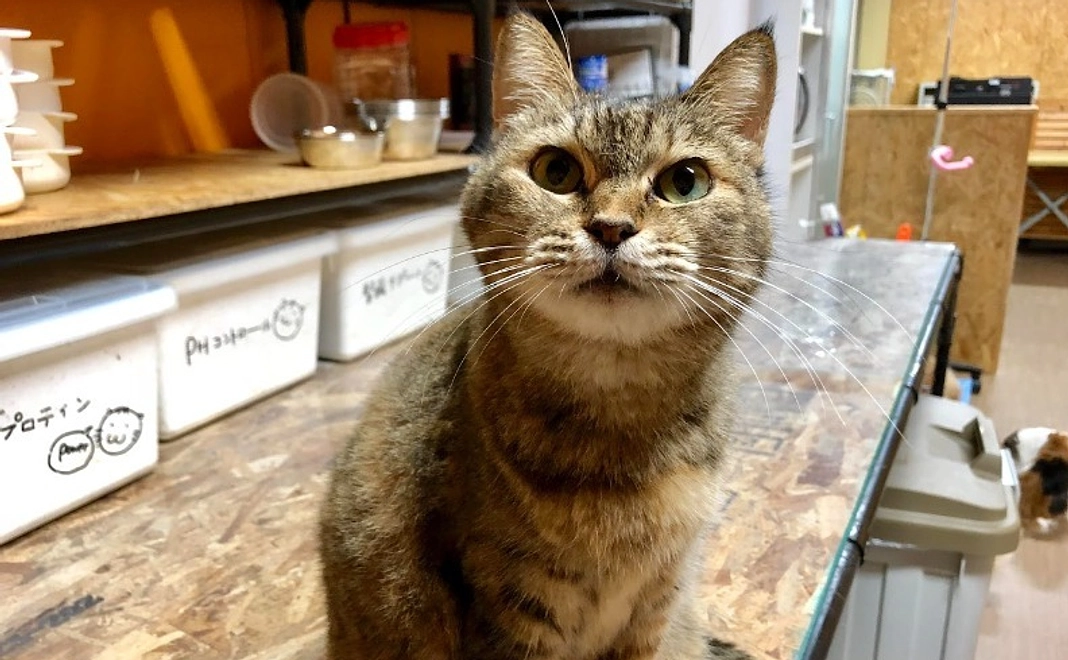 【特別なリターン不要の方】A3E全力応援コース|2,222円