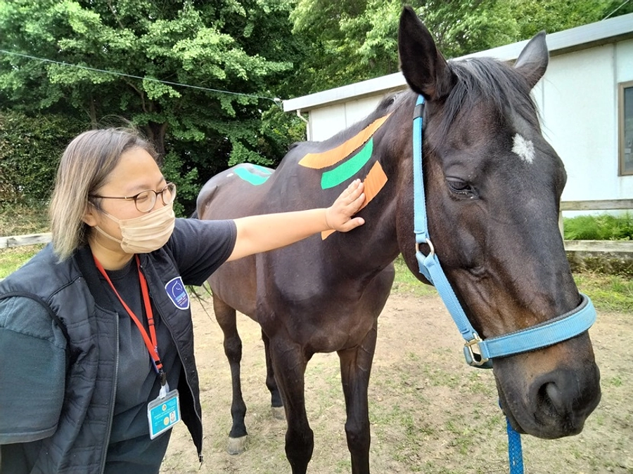 ホーステーピングの青野菜名様から応援メッセージをいただきました！