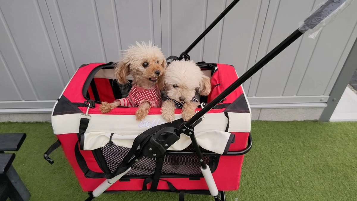 術後初めての日光浴！