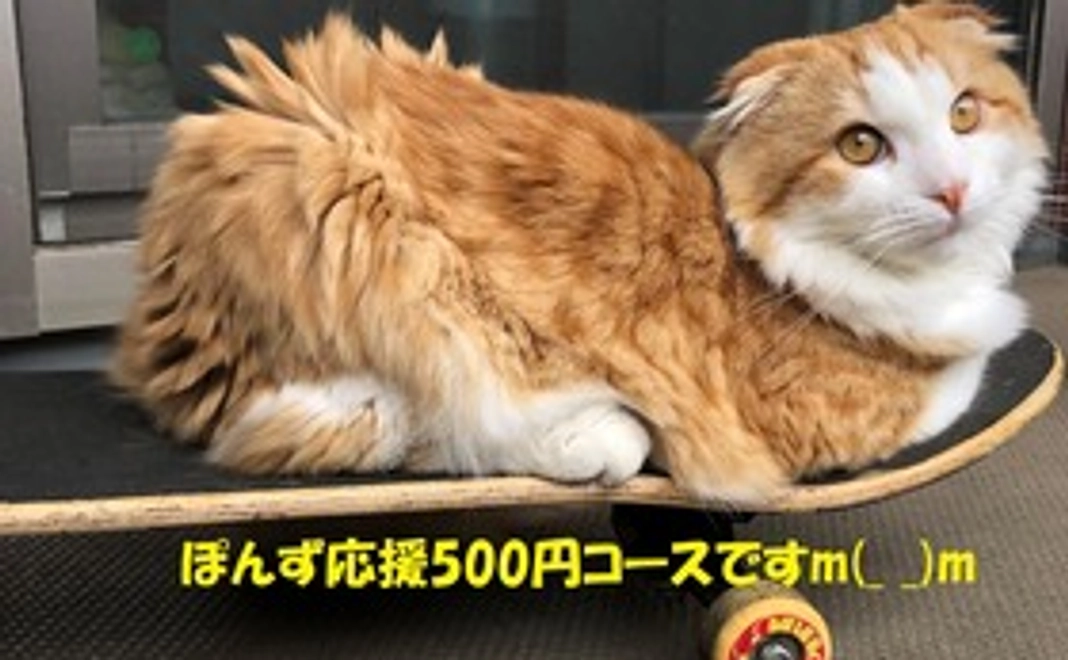 「ぽんず」応援支援500円