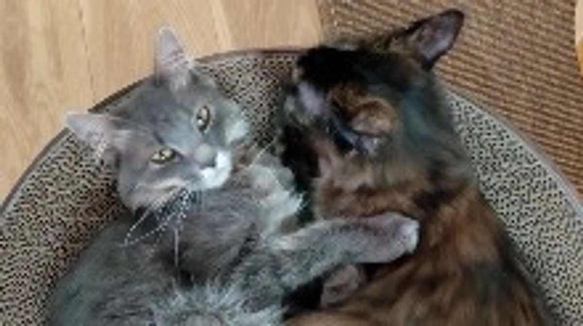 代理支援のご案内