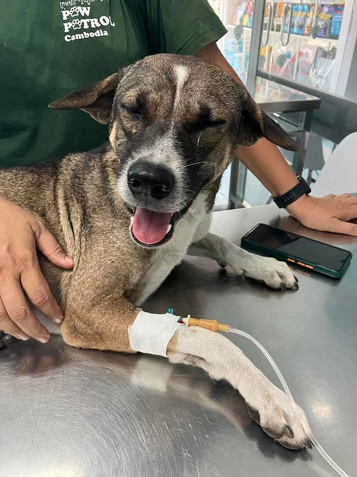 プロジェクト終了とお礼