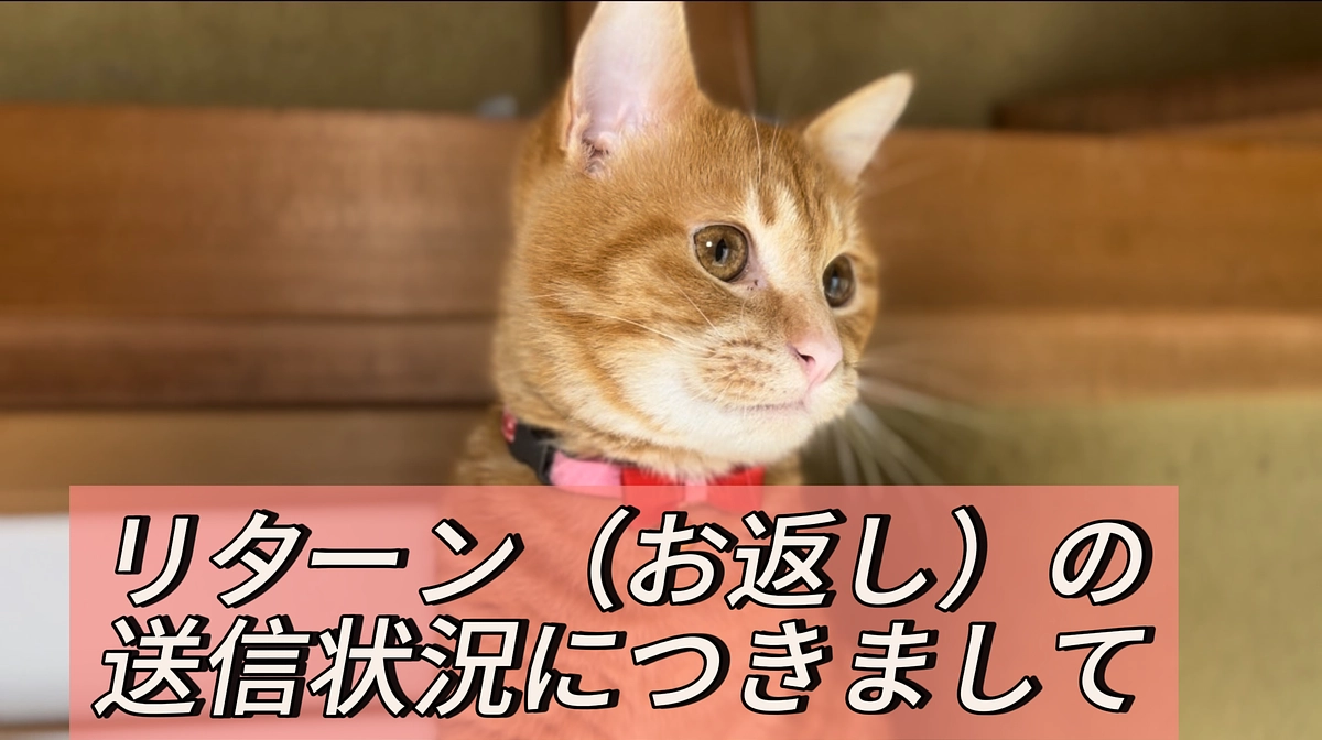 リターン（お返し）の送信状況につきまして
