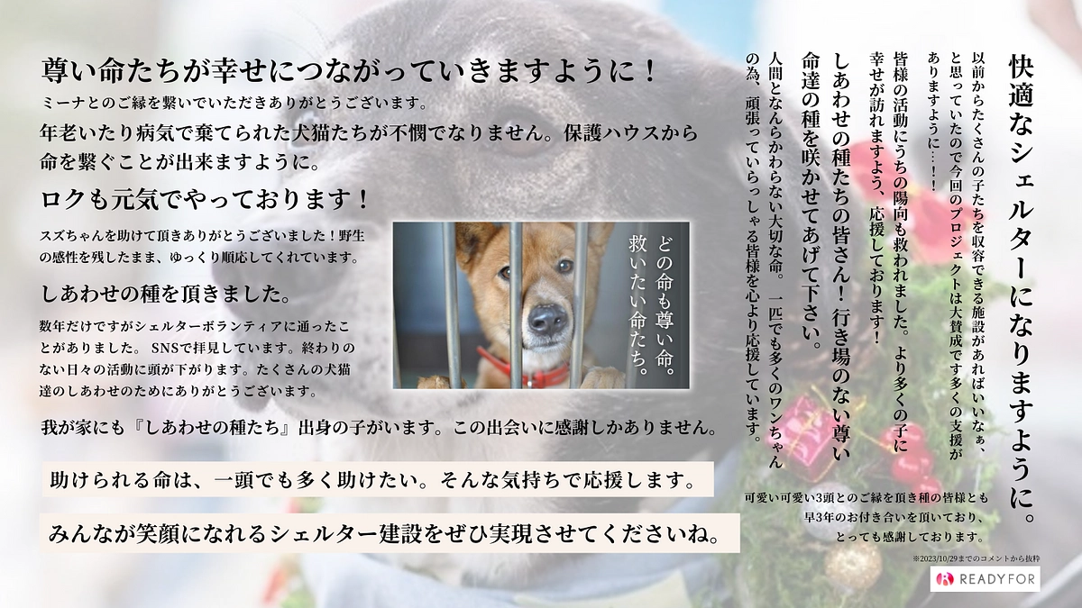 ご寄付いただいた皆さまからの応援メッセージのご紹介です！