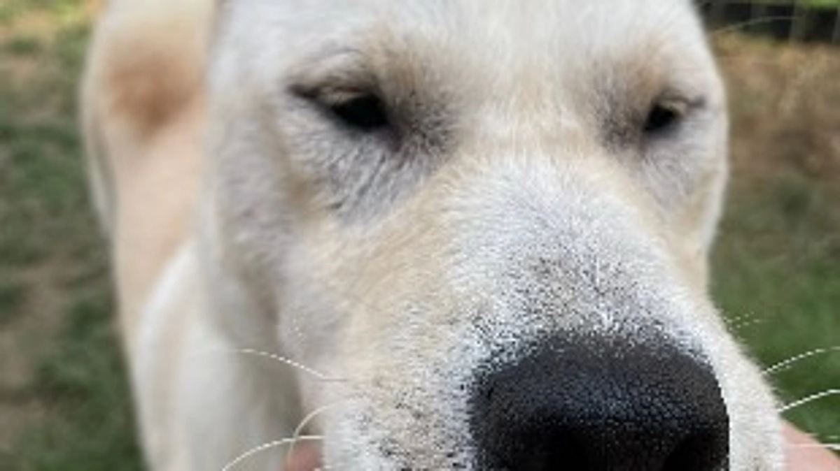 少しずつ回復。