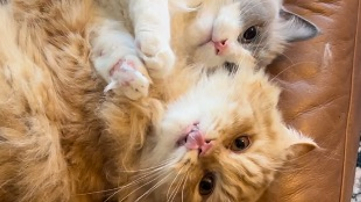 投薬開始から2ヶ月が経過