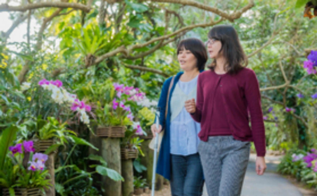 【観光バリアフリー普及を応援】観光案内所設立ブロンズサポーター