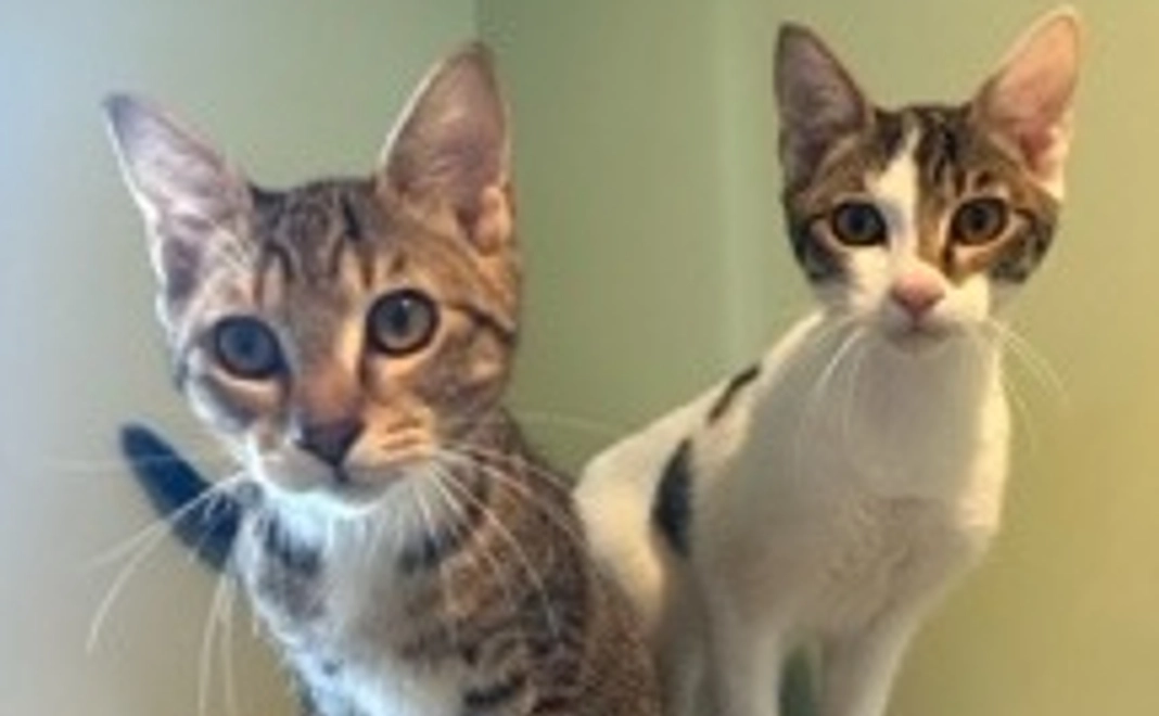 お家で過ごす暖かみを知って欲しい!!