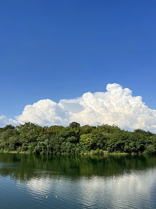 石山公園について