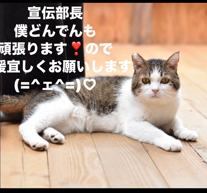 今年もプロジェクトさせて頂す運びとなりましたm(_ _)m