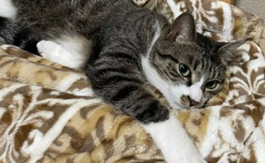 くー太応援コース(500円)リターン有り