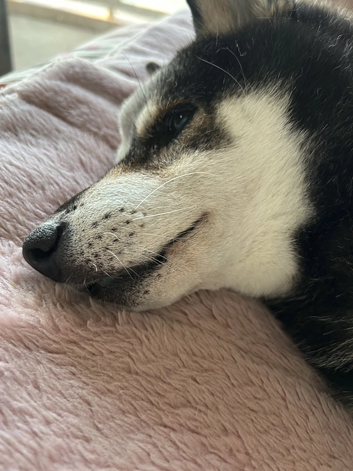 抗がん剤が打てなかった……