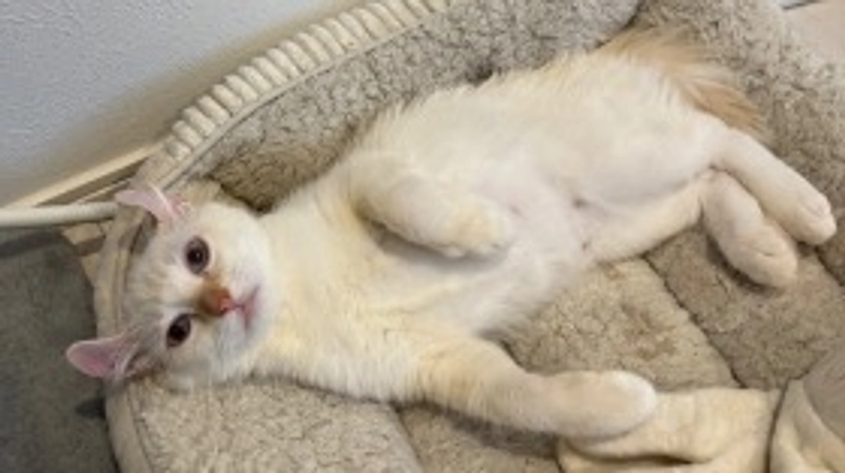 投薬71日目💊残り13日です！！