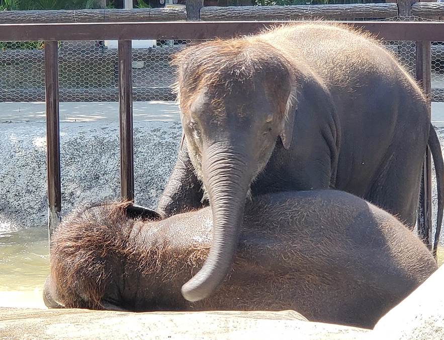 SNS拡散のお願い