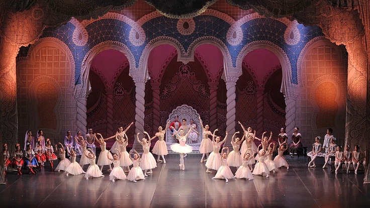 「くるみ割り人形」全幕公演バレリーナのトゥシューズ代にご支援を