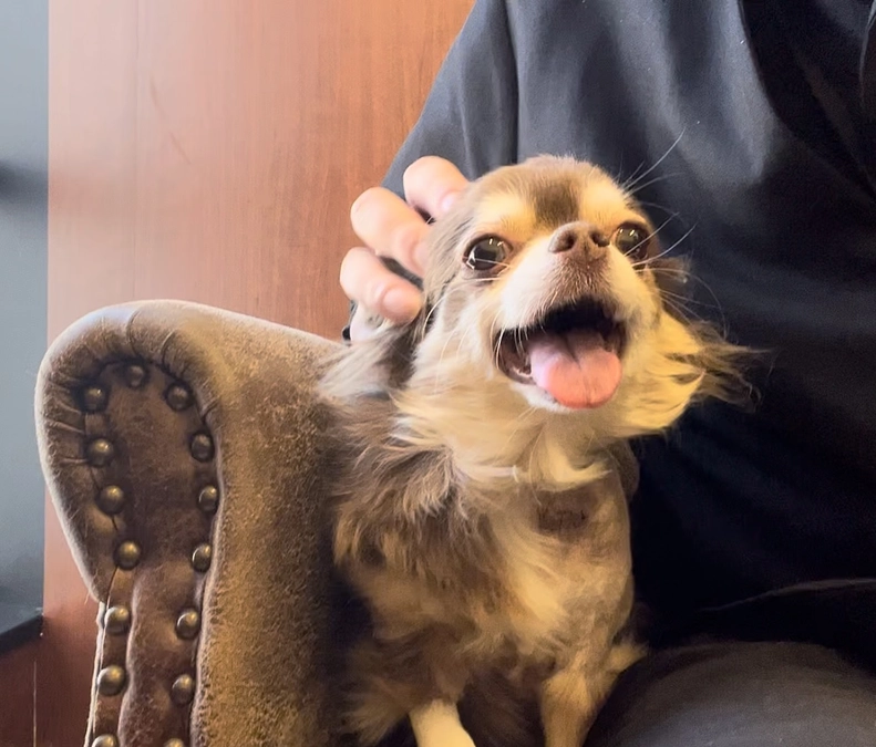 今日のメロちゃん　2月8日