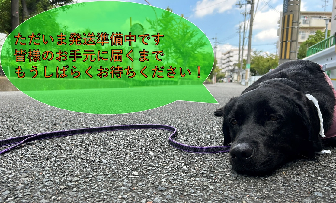 リターンの発送準備がもうすぐ終わります！