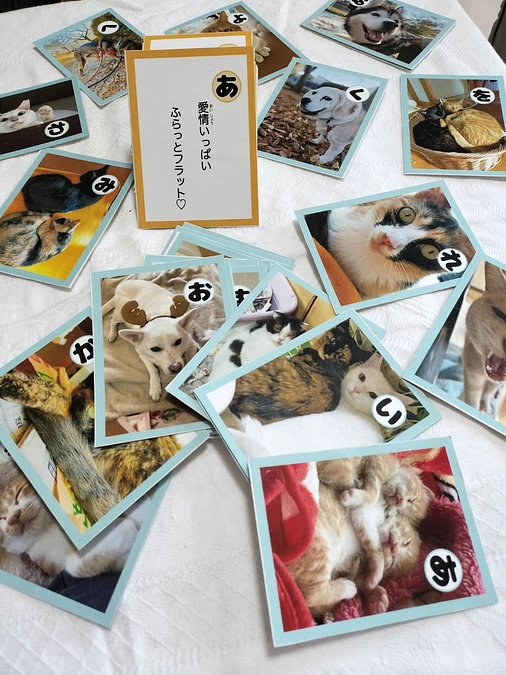 ふらっとフラットwith cats & dogsメンバーからの言葉　カルタ担当M.Tさん