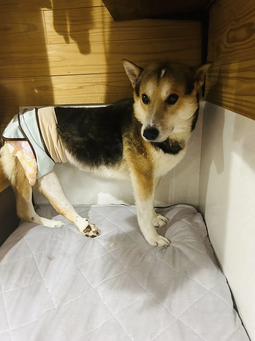 進捗状況と今後の流れについてのご報告