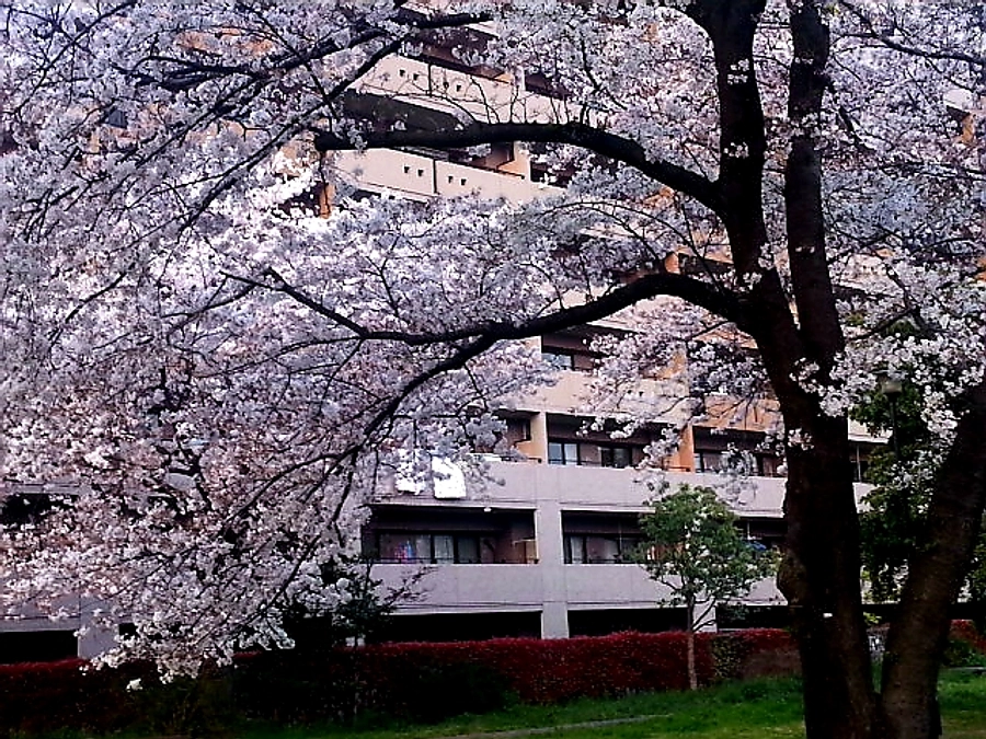 マンション売却を「家いちば」さんより掲載開始。