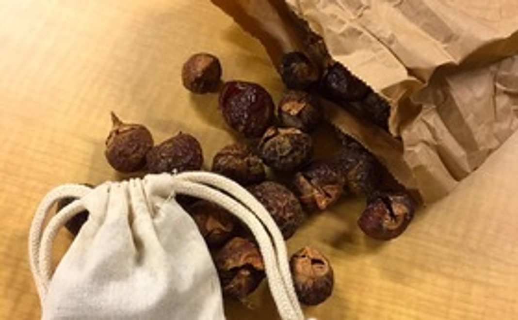 ウォッシュナッツ150gセット(約60回分）