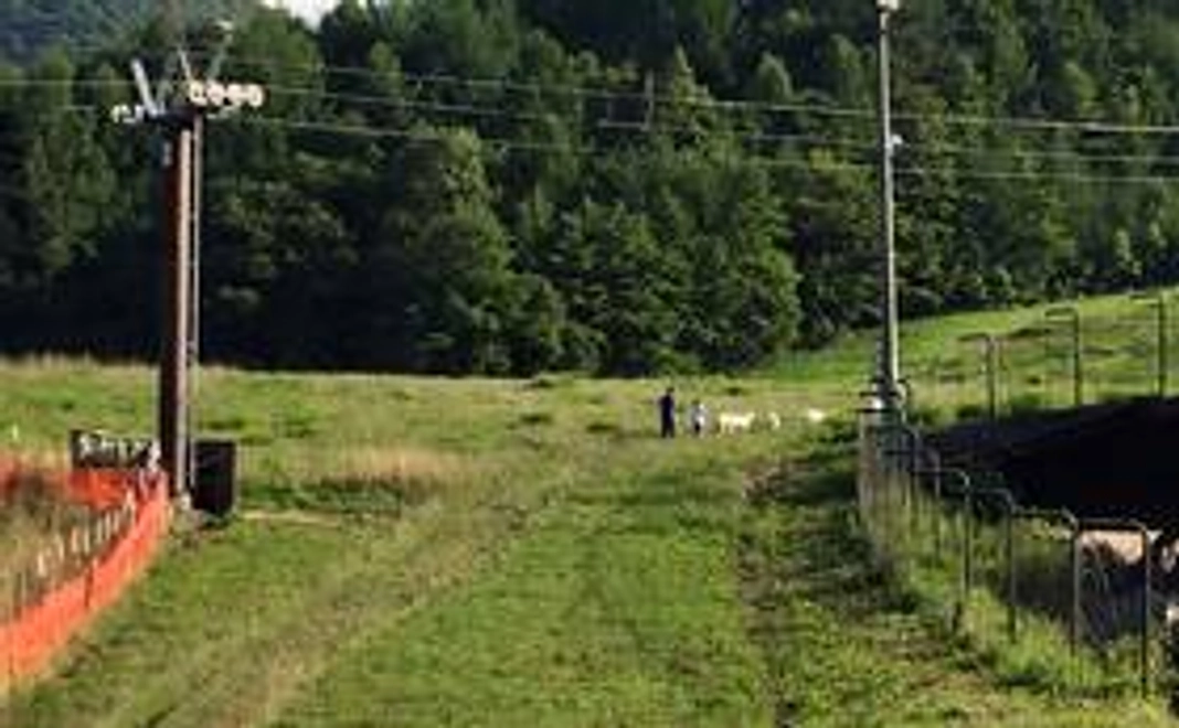 【サンクスレターとメリーセット（ソフトクリーム・スイーツ無料券）をお送りします！】