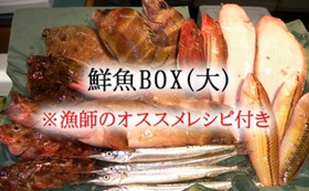 ⑤ 鮮魚BOX(大)　※漁師オススメレシピ付き