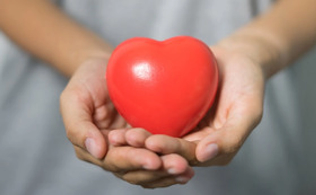 B：家来るドクターへのご支援｜3,000円