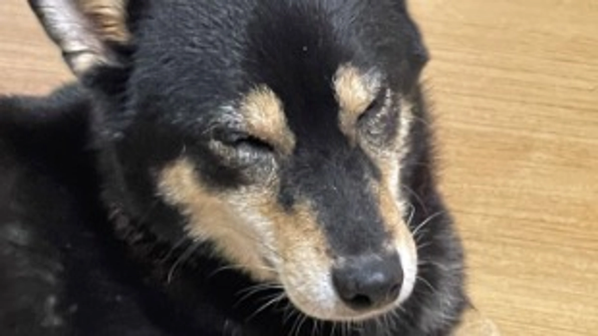 達成まで64,000円