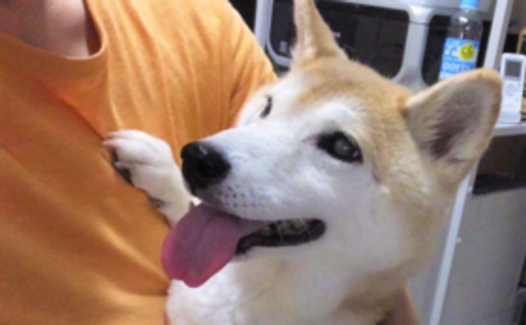 【1万円】犬猫が新しい家族と出会う場を守る！