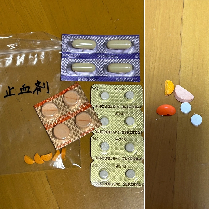 昨日は通院日でした