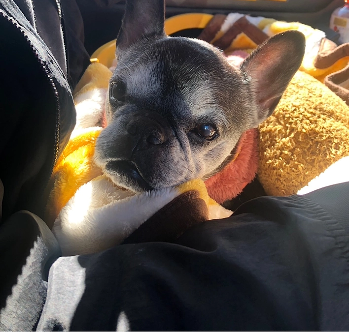 放射線治療後の経過報告