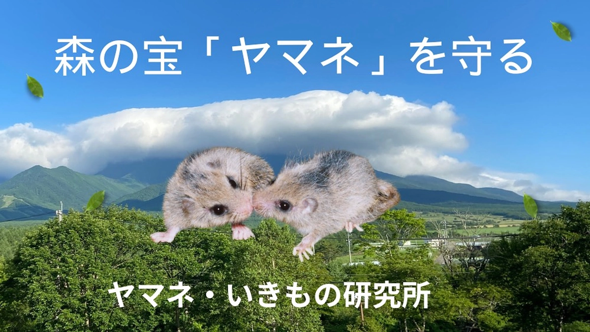  八ヶ岳の麓から