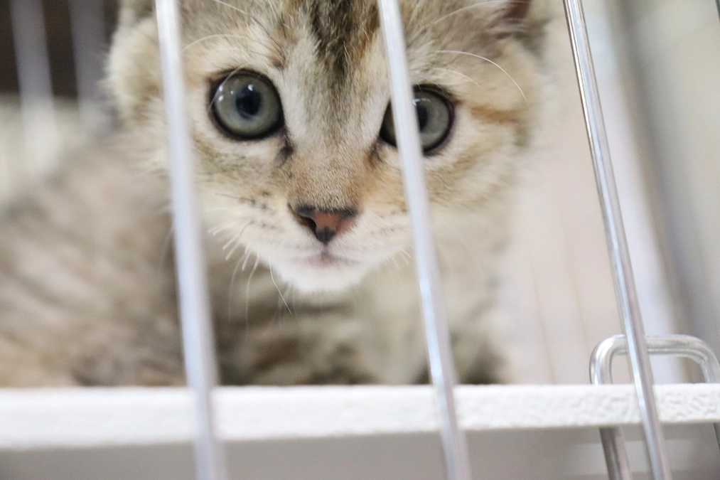 活動報告【2023・７月】