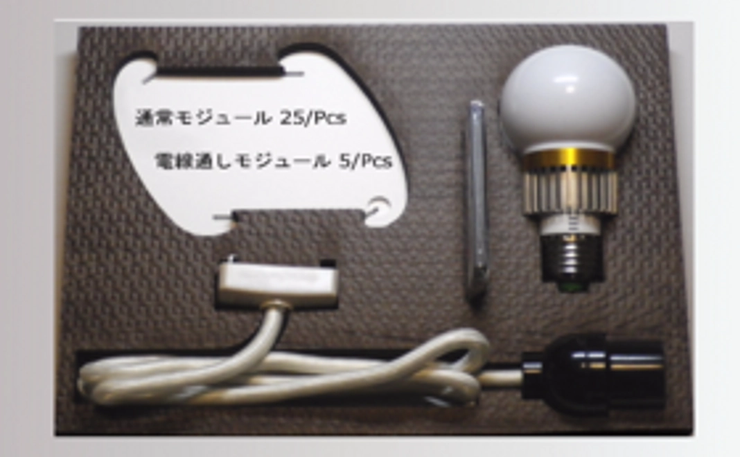 【READYFOR限定】IQ-Light+ 30モジュールRGBｰLED電球付きキット