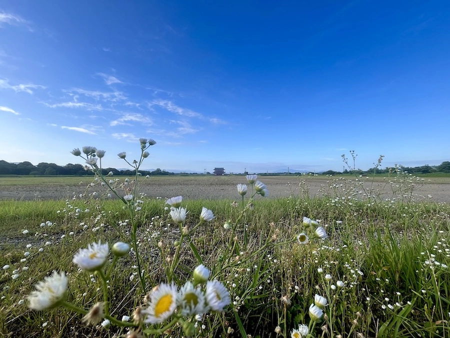 知られていない神社を、未来に継承するための物語 ＜9月最終日＞