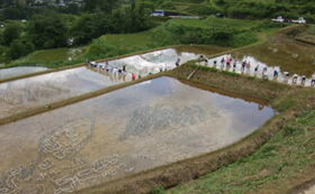 サンクスメール