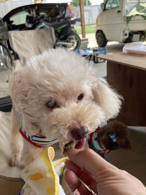 7/7のありがとうございます！