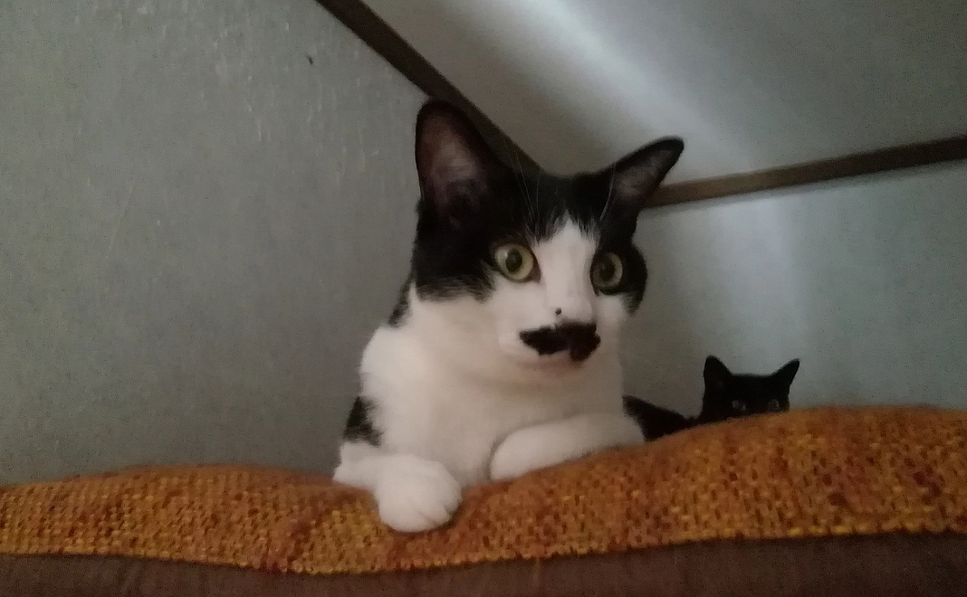 活動報告と感謝のメール