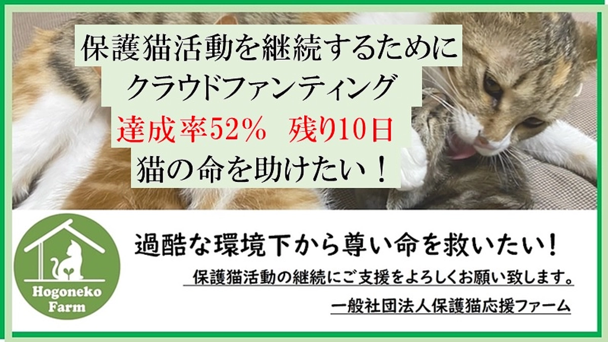 【応援のお願い】残り10日となってしまいました　💦💦💦💦💦💦💦💦💦