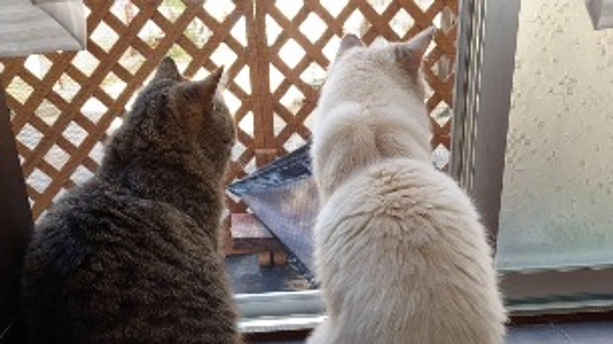 明日は病院です。