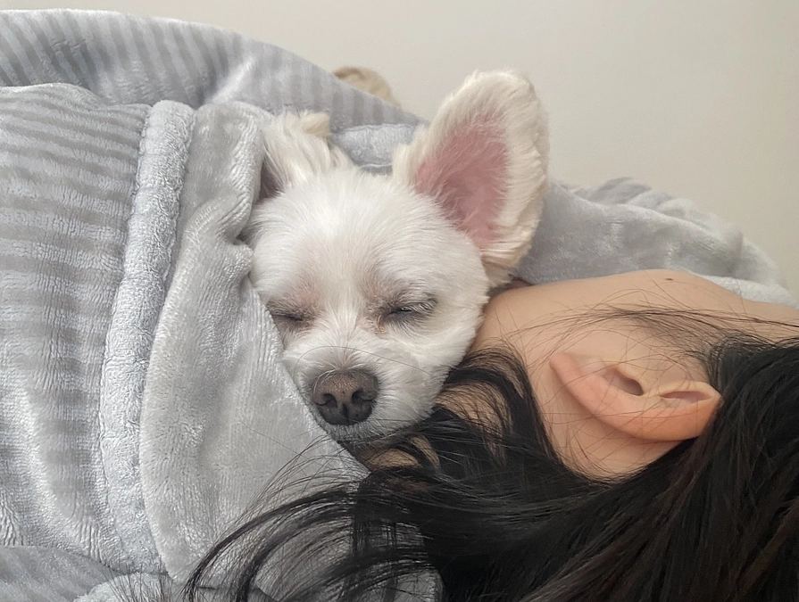 達成率94%、達成まであと少し