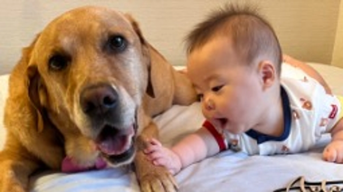 よろしくお願いします🥺