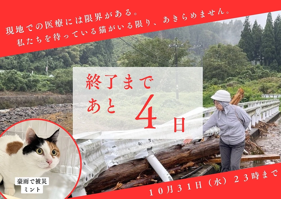 ここはとうきょう？わたし、よく目がみえないの。でもみんな優しくて、わたしもっと生きていいの？