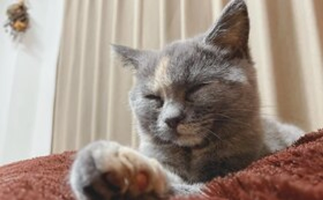 ずん応援コース：1,000円