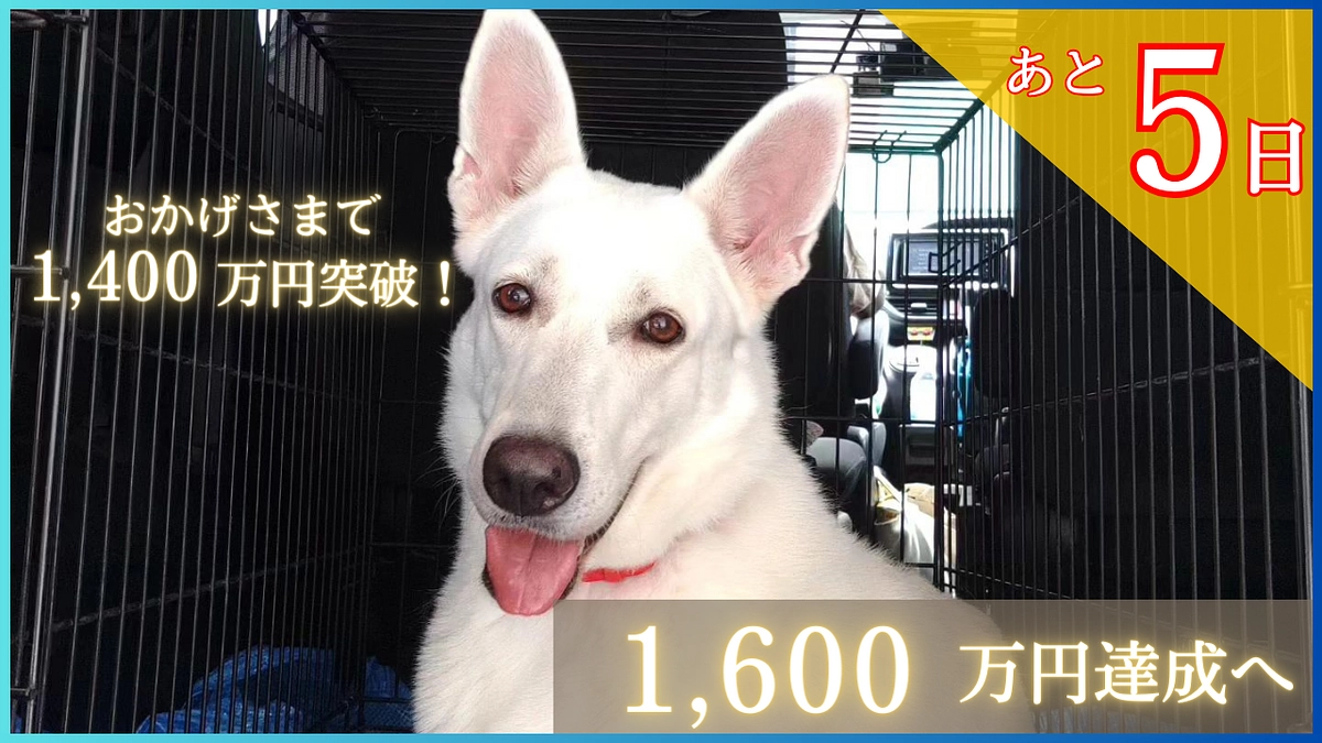 【1400万円突破！あと157万円】夢の実現へ！応援メッセージのご紹介です！