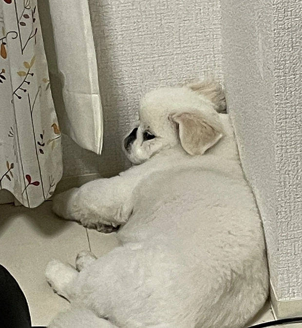 【公開14日目】お詫びと訂正・お礼